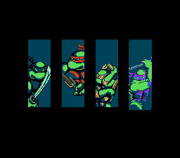 Leo, Raph, Mike, & Don